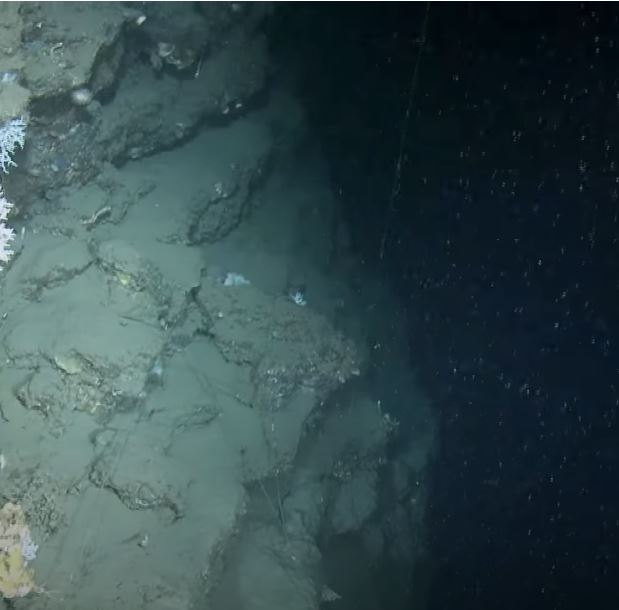 Imagen de un cañon submarino en las profundidas del mar
