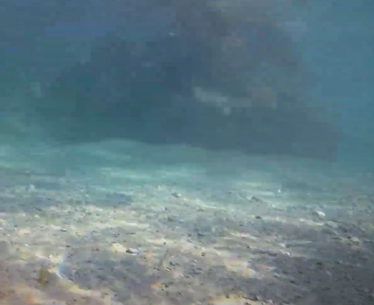 Imagen de un cañon submarino en las profundidas del mar