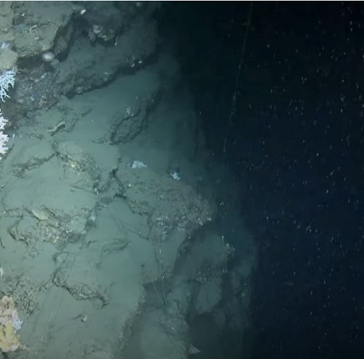 Imagen del Cañón de México en el fondo del mar