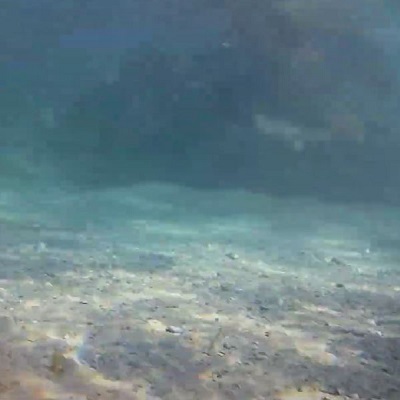 Imagen del Cañón en Ecuador en el fondo del mar